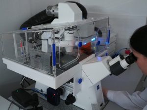 Workstation for life cells observation and an image acquisition system. Axio Observer 7, Zeiss - an inverted automatic research microscope equipped with an incubation chamber with controlled temperature, humidity, CO2 atmosphere, O2 level, and monochromatic digital camera and software for recording the sequence of images and movies. Life cells observation workstation