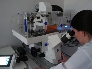 Workstation for life cells observation and an image acquisition system. Axio Observer 7, Zeiss - an inverted automatic research microscope equipped with an incubation chamber with controlled temperature, humidity, CO2 atmosphere, O2 level, and monochromatic digital camera and software for recording the sequence of images and movies. Life cells observation workstation