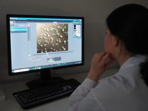 Workstation for life cells observation and an image acquisition system - Axio Observer 7, Zeiss; analysis of microscopic images using Zen 2.6. Blue Edition software. Life cells observation workstation