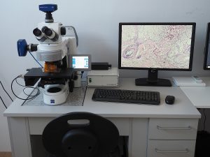Axio Imager Z2, Zeiss – equipped with monochromatic digital camera and color digital camera. Microscope imaging acquisition and digitalization workstation