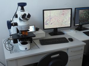 Axio Imager Z2, Zeiss – equipped with monochromatic digital camera and color digital camera. Microscopic imaging acquisition workstation.