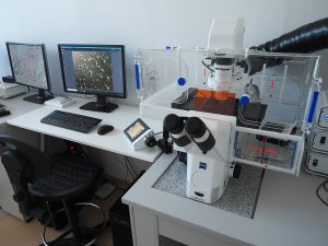 Axio Observer 7, Zeiss - an inverted automatic research microscope equipped with an incubation chamber with controlled temperature, humidity, CO2 atmosphere, O2 level, and monochromatic digital camera and software for recording the sequence of images and movies. Life cells observation and an image acquisition system workstation.