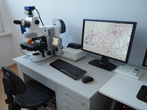 Axio Imager Z2, Zeiss – equipped with monochromatic digital camera and color digital camera. Microscopic imaging acquisition workstation.