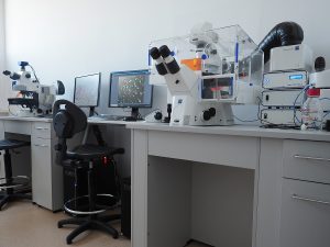 Workstation for life cells observation and an image acquisition system - Axio Observer 7, Zeiss; Workstation for microscopic imaging acquisition - Axio Imager Z2, Zeiss. Life cells observation workstation