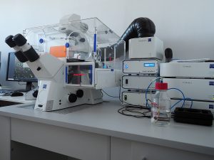 Workstation for life cells observation and an image acquisition system. Axio Observer 7, Zeiss - an inverted automatic research microscope equipped with an incubation chamber with controlled temperature, humidity, CO2 atmosphere, O2 level, and monochromatic digital camera and software for recording the sequence of images and movies. Life cells observation workstation