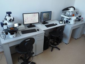 Workstation for life cells observation and an image acquisition system - Axio Observer 7, Zeiss; Workstation for microscopic imaging acquisition - Axio Imager Z2, Zeiss. Life cells observation workstation