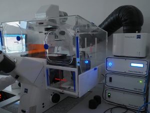 Stanowisko do obserwacji przyżyciowej komórek z systemem akwizycji obrazu. Axio Observer 7, Zeiss – odwrócony automatyczny mikroskop badawczy wyposażony w komorę inkubacyjną z regulacją temperatury, wilgotności, atmosfery CO2, poziomu O2, monochromatyczną kamerę cyfrową oraz oprogramowanie umożliwiające rejestrowanie sekwencji obrazów i filmów. Stanowisko do obserwacji przyżyciowej komórek z systemem akwizycji obrazu. Axio Observer 7, Zeiss