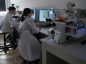 Stanowisko do obserwacji przyżyciowej komórek z systemem akwizycji obrazu- Axio Observer 7, Zeiss; Stanowisko do rejestracji obrazów mikroskopowych - Axio Imager Z2, Zeiss. Obserwacja przyżyciowa komórek.