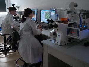 Stanowisko do obserwacji przyżyciowej komórek z systemem akwizycji obrazu- Axio Observer 7, Zeiss; Stanowisko do rejestracji obrazów mikroskopowych - Axio Imager Z2, Zeiss. Obserwacja przyżyciowa komórek.