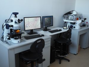 Pracownia Obrazowania Mikroskopowego Laboratorium Biologii Komórek Macierzystych i Nowotworowych Pracownia Obrazowania Mikroskopowego Laboratorium Biologii Komórek Macierzystych i Nowotworowych